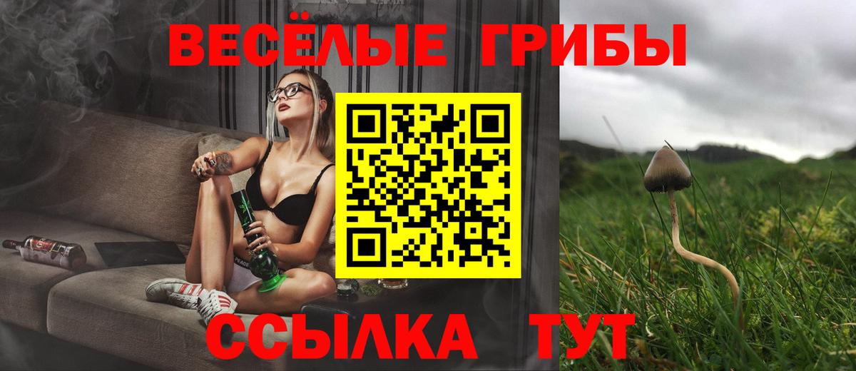 Калининград  купить закладку  Псилоцибиновые грибы ЛСД  Вход с VPN  Галлюциногенные грибы Cubensis 